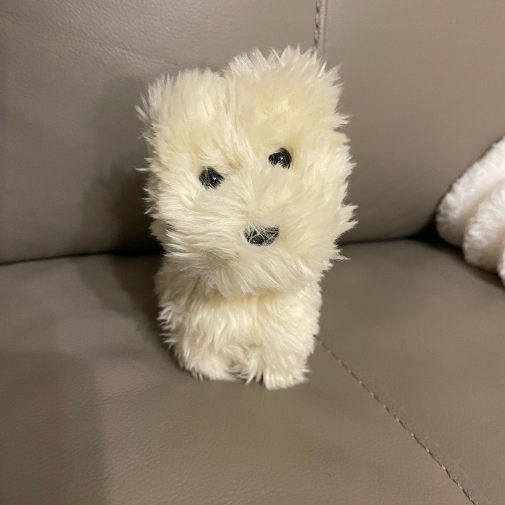 American Girl Coconut the dog plus accessories-great shape!